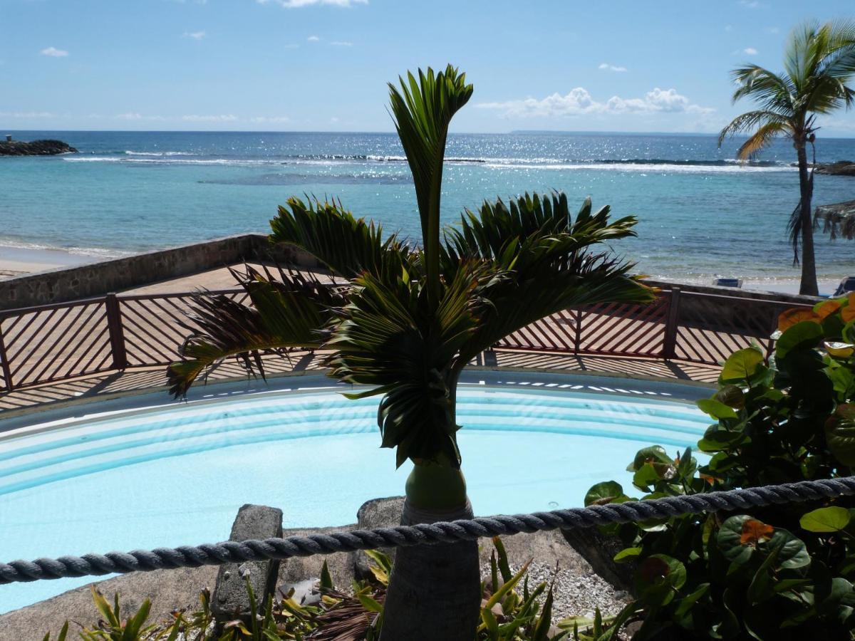 Studio Vue Mer Piscine Plage Kaz Punch Manganao Chez Julie Сен-Франсуа Экстерьер фото