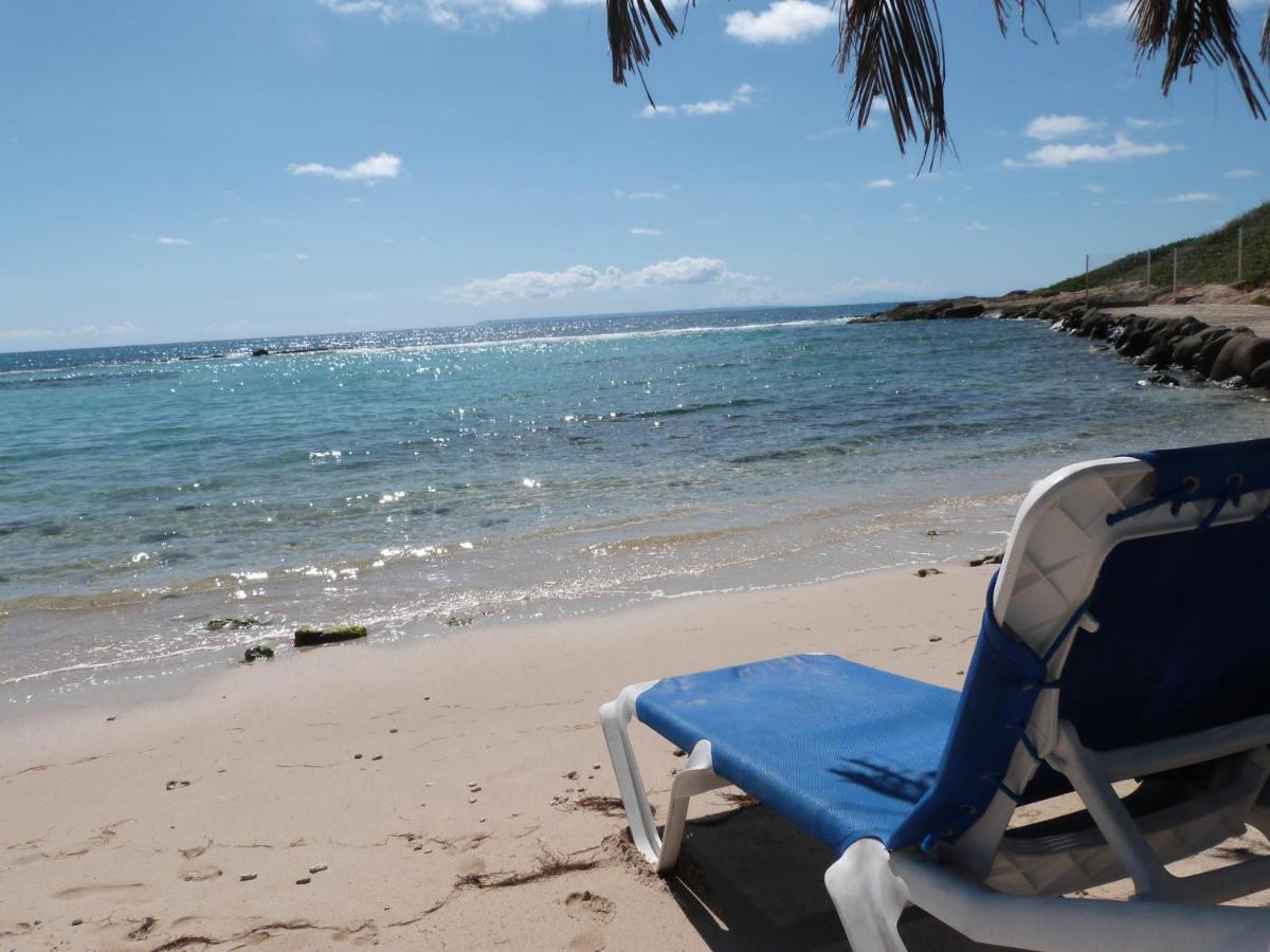 Studio Vue Mer Piscine Plage Kaz Punch Manganao Chez Julie Сен-Франсуа Экстерьер фото